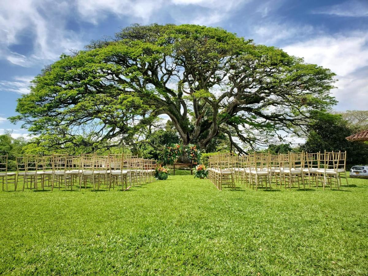 Hacienda El Saman Villa Quimbaya Eksteriør billede